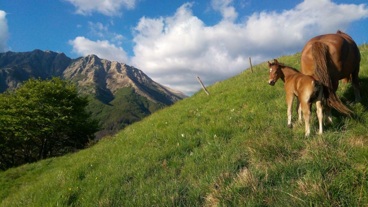 B&B La Bredia Fivizzano Exteriér fotografie